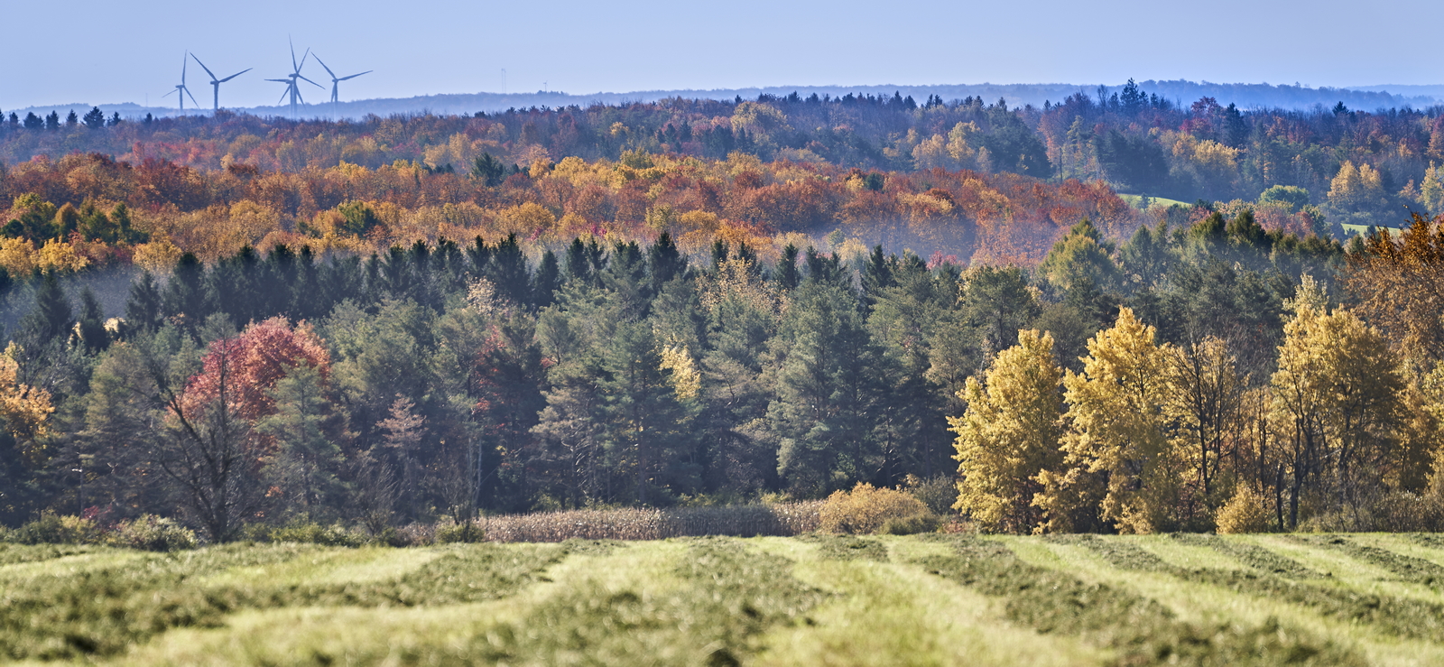 Indian Summer, Letchworth State Park, NY, USA